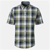 CASA MODA B.D. CHECK SHORT SLEEVE SHIRT - GREEN