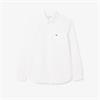 LACOSTE REGULAR FIT OXFORD SHIRT - WHITE