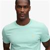 SUPERDRY ESSENTIAL SDCO LOGO T-SHIRT - MINT