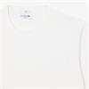 LACOSTE EMBOSSED BRANDING JERSEY T-SHIRT - WHITE