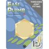 Easiplumb 1/2" Brass Blanking Cap