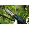 Bosch GKE 18V-25T Cordless 18V Telescopic Pruner
