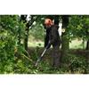 Bosch GKE 18V-25T Cordless 18V Telescopic Pruner