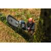 Bosch GKE 18V-25T Cordless 18V Telescopic Pruner