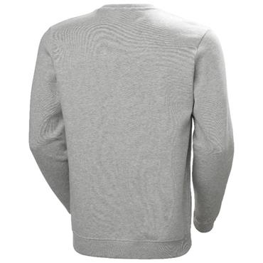 Helly Hansen 79263_930 Graphic Sweatshirt Light Grey Melange