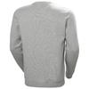Helly Hansen 79263_930 Graphic Sweatshirt Light Grey Melange