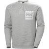 Helly Hansen 79263_930 Graphic Sweatshirt Light Grey Melange