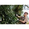 Draper DRA-31862 18V Cordless Hedge Trimmer Kit