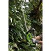 Draper DRA-31862 18V Cordless Hedge Trimmer Kit