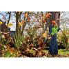 Draper DRA-31863 18V Cordless Leaf Blower Kit