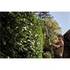 Draper DRA-31865 18V Cordless Pole Hedge Trimmer