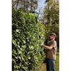 Draper DRA-31865 18V Cordless Pole Hedge Trimmer
