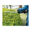 Makita DUH606Z 18V LTX Brushless 600mm Hedge Trimmer (Bare Unit)