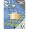 Easiplumb 1/2" Brass Blanking Plug