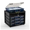 Raaco HandyBox 55x4 Assorter Boxes 136242
