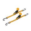 Tolsen 2pcs Ratchet tie down set 62252