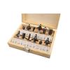 Tolsen 12 Piece Carbide Tipped 1/4" Router Bit Set 75680