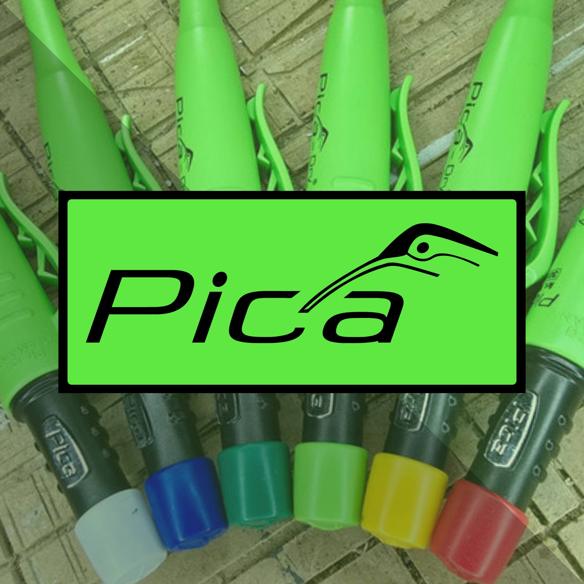 Pica