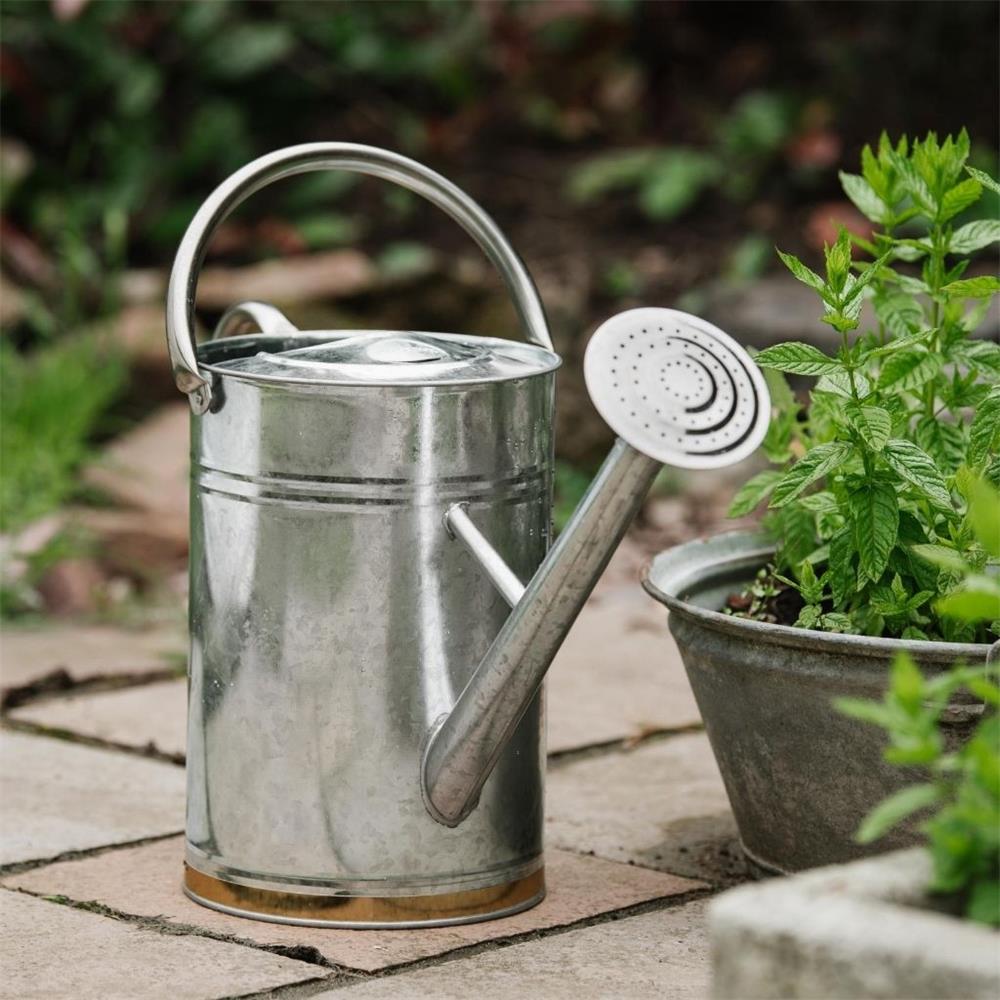 Kent & Stowe Metal Watering Can Galvanised Steel 9L ecostore.ie Ireland