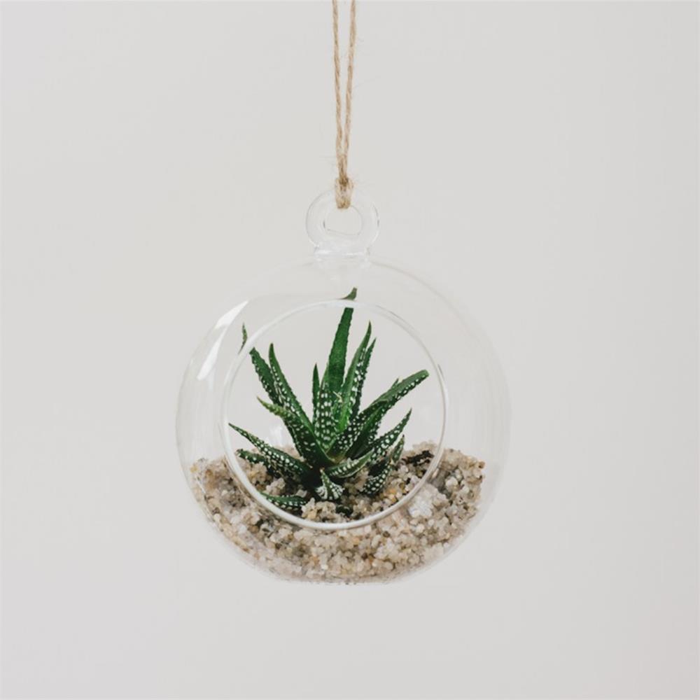 Glass Globe Terrarium Your Home and Garden