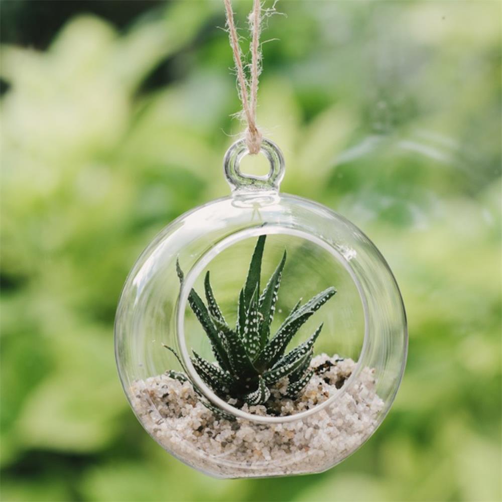 Glass Globe Terrarium Your Home and Garden
