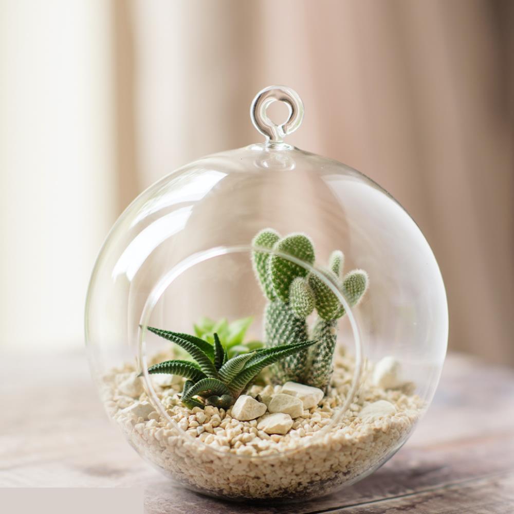 Large Glass Globe Terrarium Your Home and Garden