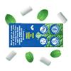Menthol Plastic Free Chewing Gum