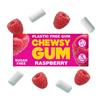 Rasberry Plastic Free Chewing Gum