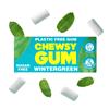  Winter Green Plastic Free Chewing Gum
