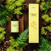Frankincense & Juniper Natural reed diffuser gift set 