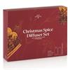 Christmas spice natural reed diffuser gift set 