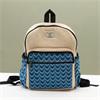 Standard Kathmandu Backpack Dhaka Design