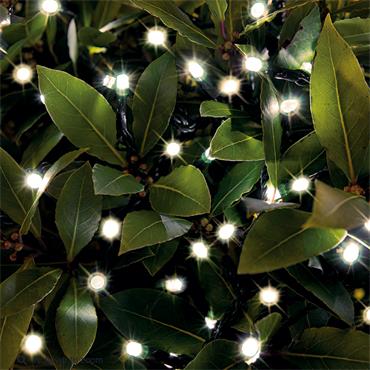Garden Lighting Your Home And Garden