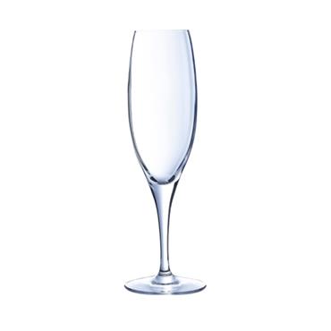 Sensation C&S Exalt Champagne Flute19(Box 24)