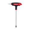 70076 Benman Torx With Whole T.20