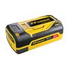 FF42408 F.F. Group Battery Pack Bli 40V/5.0Ah