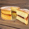 Jam Sponge - Large