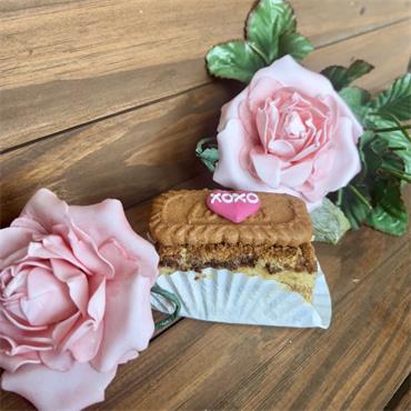 Biscoff Chocolate Indulgent Slice