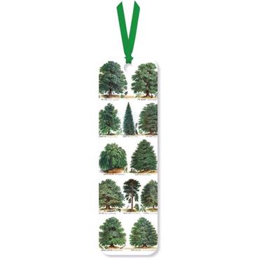 Museums & Gallery Our British Forest Trees Bookmark