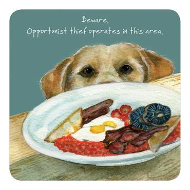 Card Boutique Opportunist