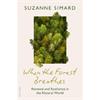 Suzanne Simard When The Forest Breathes