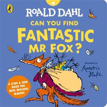 Roald Dahl Can You Find Fantastic Mr Fox?