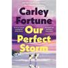 Carley Fortune Our Perfect Storm