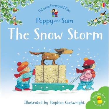 Heather Amery The Snow Storm