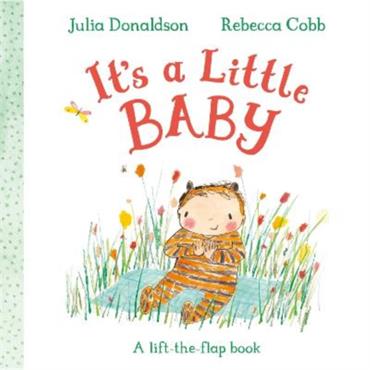 Julia Donaldson It's A Little Baby