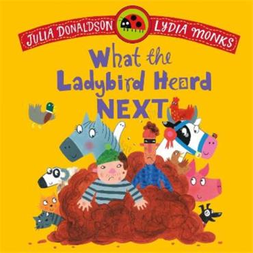 Julia Donaldson What The Ladybird Heard Next