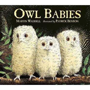 Martin Waddell Owl Babies