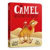 Rachel Bright The Camel Who Had The Hump