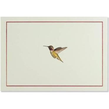 Peter Pauper Press Hummingbird Flight Note Cards