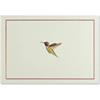 Peter Pauper Press Hummingbird Flight Note Cards